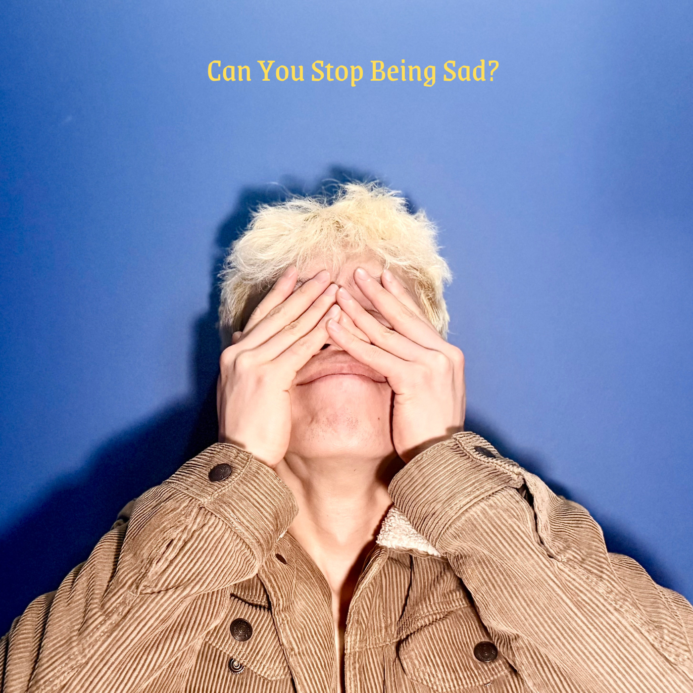Can You Stop Being Sad? Album Cover Poster